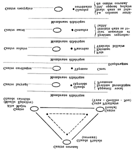 On remarquera que ce diagramme n'inclut pas la rate, dont la fonction est très particulière. Elle est le centre de vitalité relié à la vitalité planétaire et à l'irradiation du soleil.