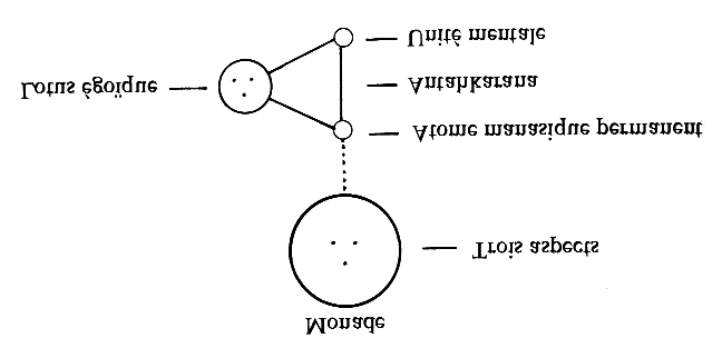 Ce simple symbole vous donne l'image de la tâche du disciple sur le Sentier.