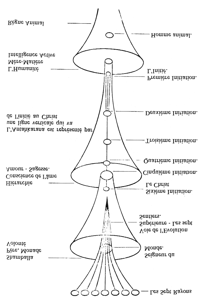 Schéma (figure isolée, renvoi [18@526])